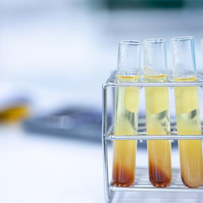 Cover image for research topic "Microbial Co-cultures: A New Era of Synthetic Biology and Metabolic Engineering"