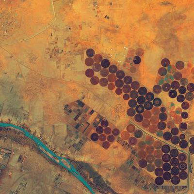 Cover image for research topic "Satellite Earth Observation for Animal Health and Vector-Borne Diseases"