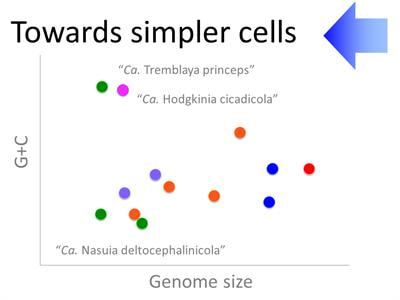 Cover image for research topic "The quest for simple life"