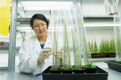 Cover image for research topic "Women in Experimental Endocrinology 2022"
