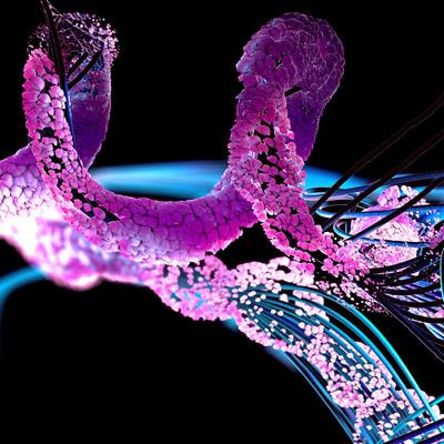 Cover image for research topic "Natural Compounds Regulating Epigenetics for Treating Chronic Inflammatory Diseases"
