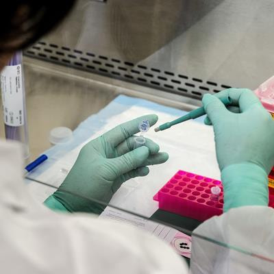 Cover image for research topic "in Vitro Toxicogenomics (TGx) in Hazard and Risk Assessment"