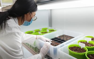 Cover image for research topic "Women in Terrestrial Microbiology: 2022"