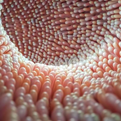 Cover image for research topic "Gut Microbiota in Health and Disease"