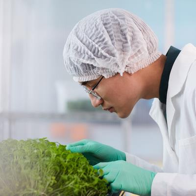 Cover image for research topic "Biotechnology for Agricultural Sustainability"