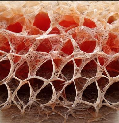 Cover image for research topic "Biomaterial applications in soft tissue engineering and replacement"