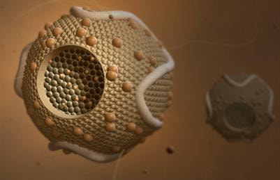 Cover image for research topic "Apolipoprotein AI and high-density lipoproteins in the prevention and treatment of disease"