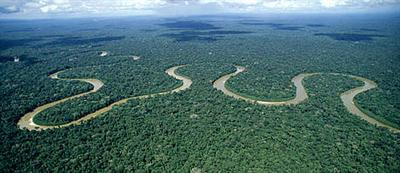 Cover image for research topic "The role of microbial communities in tropical ecosystems"