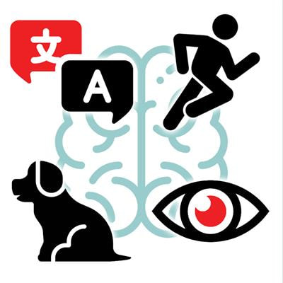 Cover image for research topic "Animacy in Cognition: Effects, Mechanisms, and Theories"