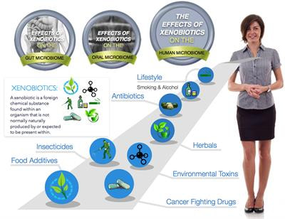 Cover image for research topic "Xenobiotics and the gut microbiome in health and disease"