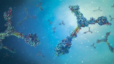 Cover image for research topic "Neuroglial antibodies: from clinical associations to pathophysiological investigations"