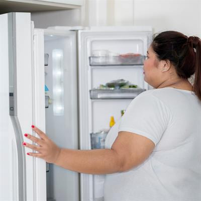 Cover image for research topic "Obesity and Sustainability"