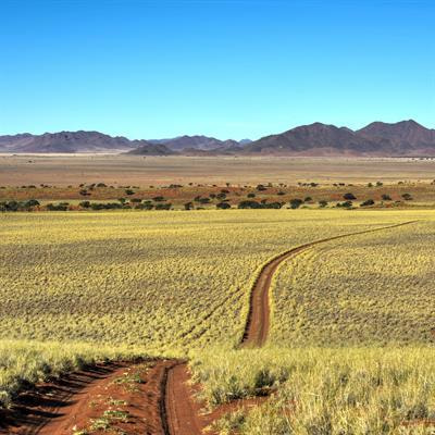 Cover image for research topic "Climate and Land Use Change in Dryland Ecosystems: Individual and Coupled Mechanisms of Impact"