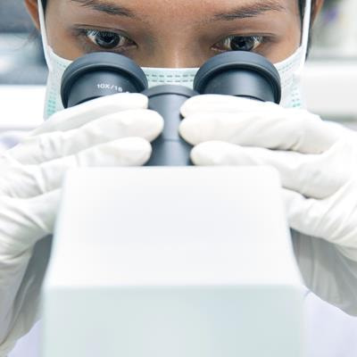 Cover image for research topic "Women in Vascular Physiology: 2022"