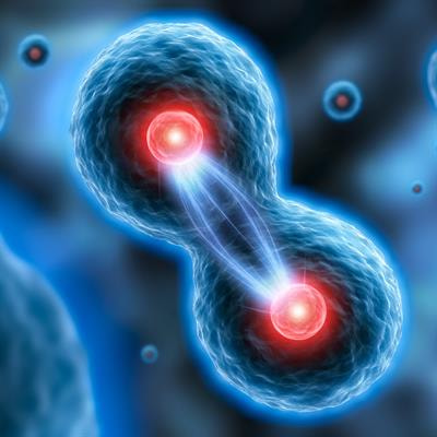 Cover image for research topic "Fibrosis: Etiology, Pathophysiology, Measurements, and Therapy"