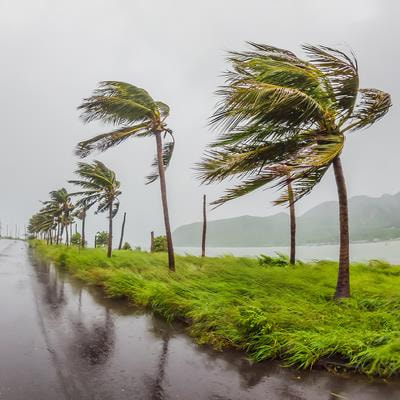 Cover image for research topic "Pacific Multi-Decadal Variability and Enso Impact on the South American Climate"