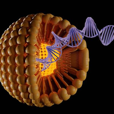 Cover image for research topic "Genetically Regulated Lipid Metabolism, and its Role in Chronic Disease and Health Disparities"
