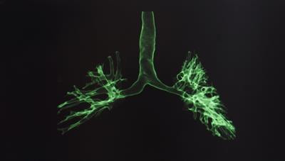 Cover image for research topic "Electrical Impedance Tomography in Veterinary Medicine"
