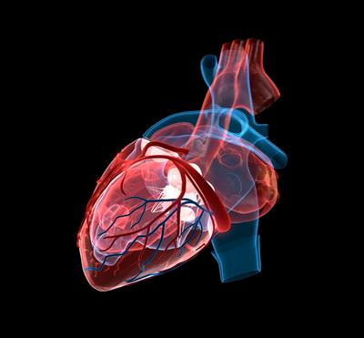 Cover image for research topic "Pathophysiology and Management of Valvular Lesions in the Setting of LVAD Support"