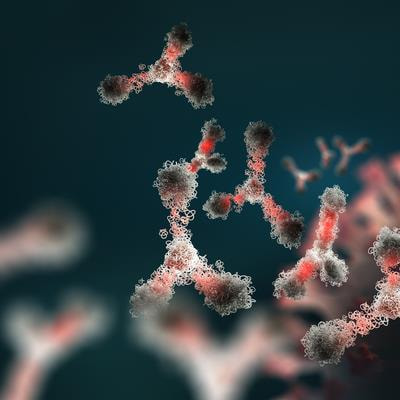 Cover image for research topic "Preclinical Macaque Models of Viral Diseases"