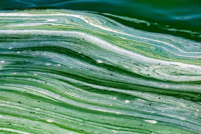 Cover image for research topic "Environmental Isotopes for Water Resource Management"