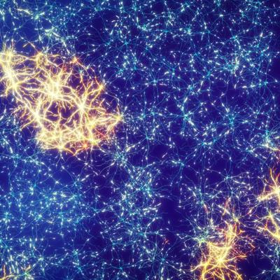 Cover image for research topic "Brain Connectivity in Neurological Disorders"