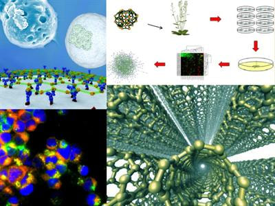 Cover image for research topic "Nanotoxicology and environmental risk assessment of engineered nanomaterials (ENMs) in plants"