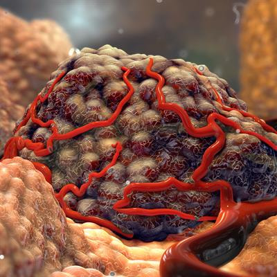 Cover image for research topic "Editors' Showcase: Insights in Cancer Cell Biology"
