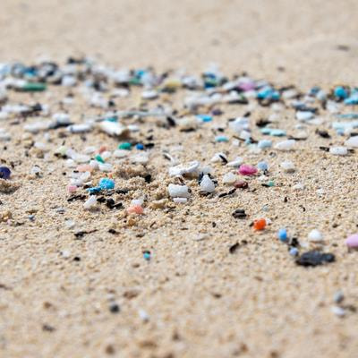 Cover image for research topic "Impact of Micro- and Nanoplastics Interactions with Environmental Contaminants on Living Organisms"