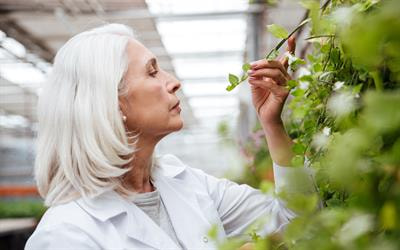 Cover image for research topic "Women in Microbial Symbioses: 2022/2023"