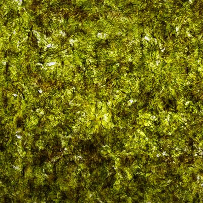 Cover image for research topic "Microbial Biomass as a Sustainable Source of Nutritional and Environmental Benefits"