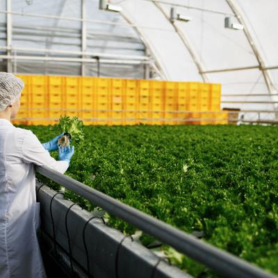 Cover image for research topic "Genome Edited Organisms for Agriculture – Challenges and Perspectives for Development and Regulation"