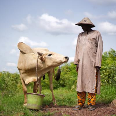 Cover image for research topic "Interventions for Improving Livestock Productivity in Developing Countries"