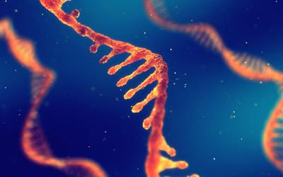 Cover image for research topic "Non-coding RNA Regulation of Secondary Metabolism in Plants"
