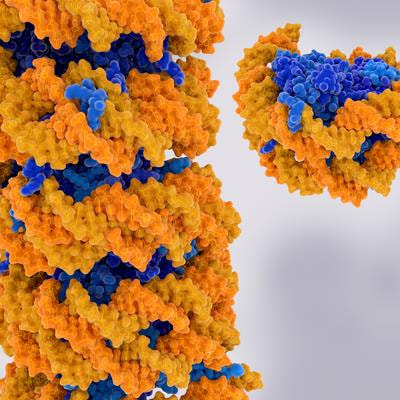 Cover image for research topic "Beyond genetics: modifications of nucleic acid and chromatin"