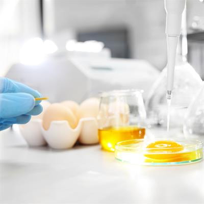 Cover image for research topic "Spectroscopic Applications for Quality Profiling and Authentication of Food Products"