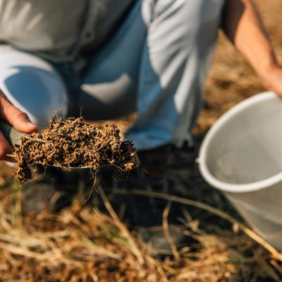 Cover image for research topic "Sustainable Soil Fertility Practices for Smallholder Farmers"