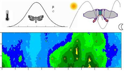Cover image for research topic "Current trends of insect physiology and population dynamics: modeling insect phenology, demography, and circadian rhythms in variable environments"