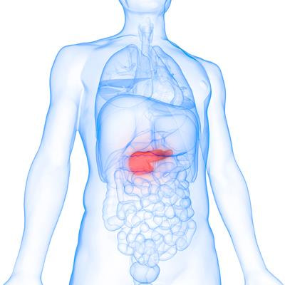 Cover image for research topic "Receptor Biology and Cell Signaling in Diabetes: Volume II"