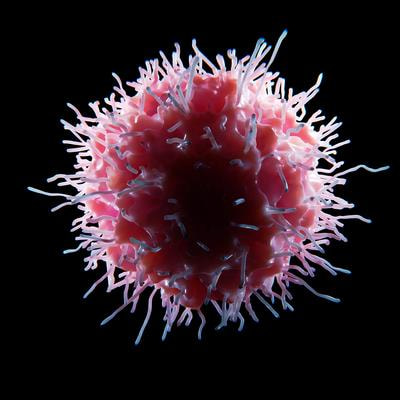 Cover image for research topic "Killer Re-Design: Synthetic Biology Approaches for Natural Killer-Cell Therapy"