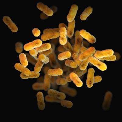 Cover image for research topic "Microbiome Metabolites in Health and Disease"