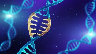 Cover image for research topic "Genetic and Environmental Roles in Bone and Joint Diseases"