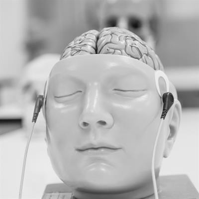Cover image for research topic "Neuroimaging and Computational Model Guided Post-Stroke Non-Invasive Brain Stimulation Therapy"