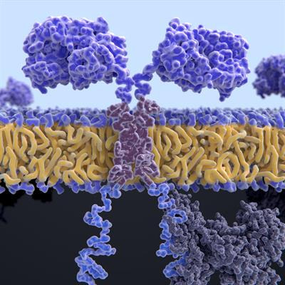 Cover image for research topic "Abiotic stress and plant immunity – a challenge in climate change"