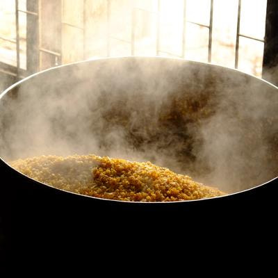 Cover image for research topic "Sustainable Processing and Preservation of Underutilized Indigenous Foods"