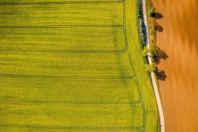 Cover image for research topic "Advanced Technologies of UAV Application in Crop Pest, Disease and Weed Control"
