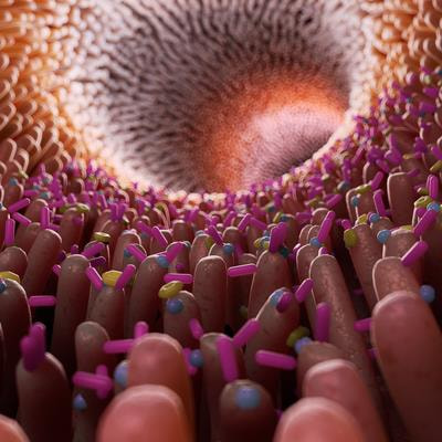 Cover image for research topic "Host Lifestyle and Environment Shape Microbiome Functions and Structures"