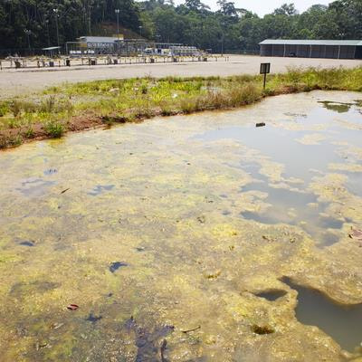 Cover image for research topic "Applied and Sustainable Methods to Manage Environmental Contaminants with Natural and Fortified Microbial Biosorbents"