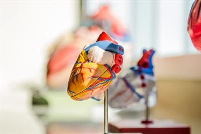 Cover image for research topic "Insulin Resistance and Cardiovascular Disease"