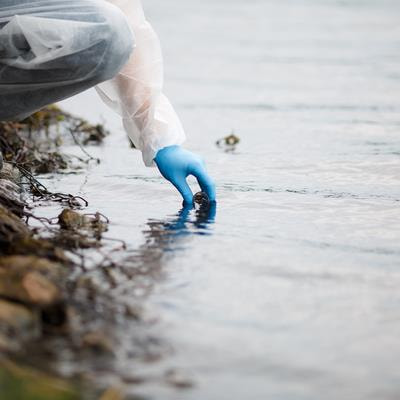 Cover image for research topic "Emerging Contaminants and Their Potential Impacts on Estuarine Ecosystems"